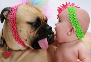 Dog-With-Baby